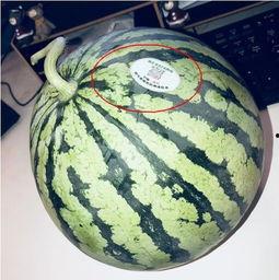 百万网红吃瓜  第2张