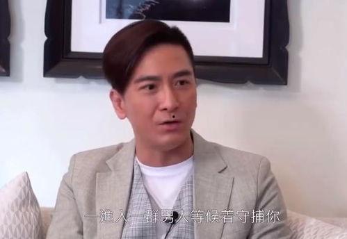 香港爆料访谈节目视频,揭秘幕后真相，深度剖析社会热点  第2张