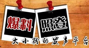 爆料潮汕新闻,揭秘潮汕地区最新爆料事件